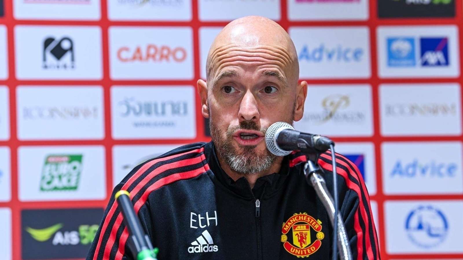 期待已久的 期待已久的